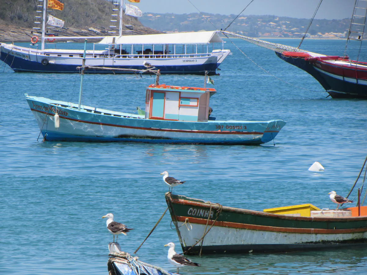 Barcos de pesca ancorados na água azul da Praia da Armação.