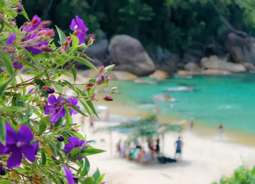 Praia da Ponta Negra, em Paraty