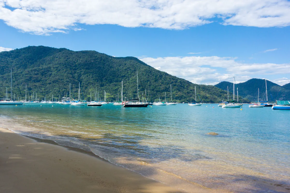 Veleiros na água calma da Praia da Ribeira, em Ubatuba (SP)