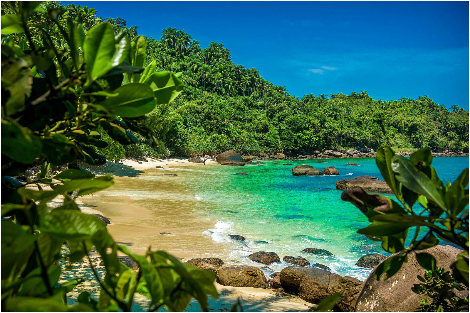 Foto de Ilha das Couves ou Ilha Anchieta