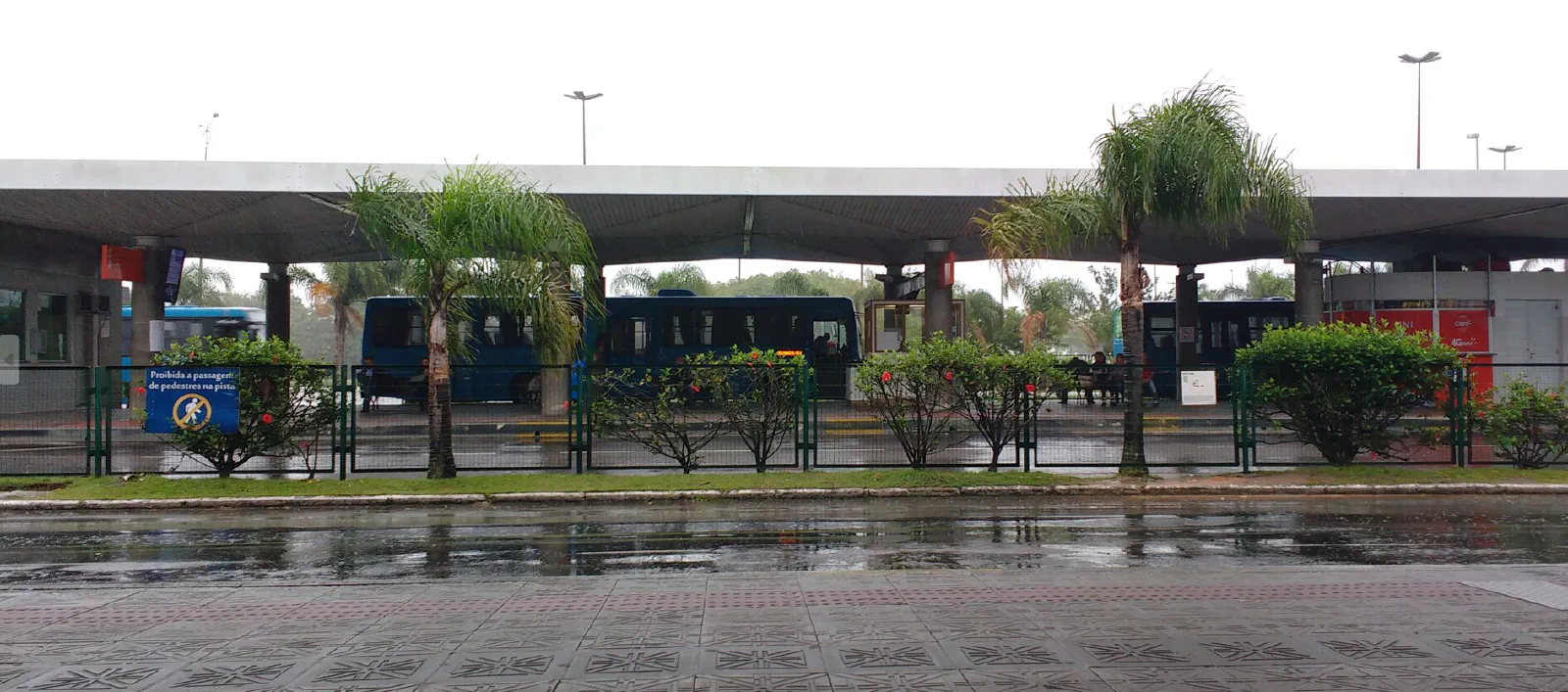 Ônibus em Florianópolis: como pagar sendo turista