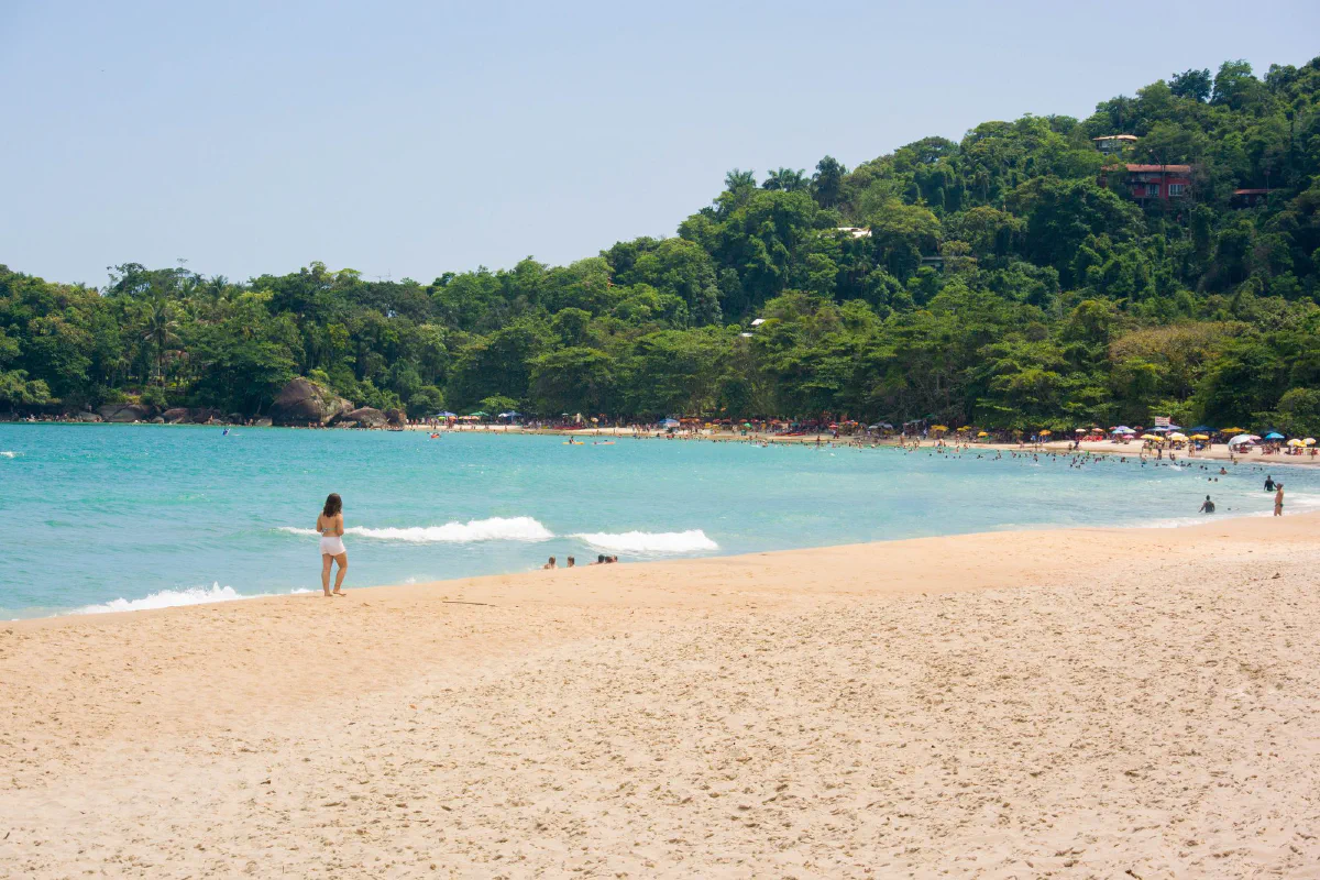 Faixa de areia e mar calmo da Praia do Félix, em Ubatuba (SP), cercada de mata