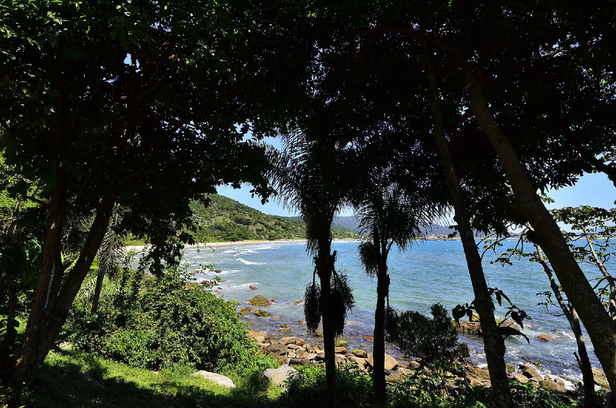 Praia do Matadeiro vista por entre as árvores da trilha.