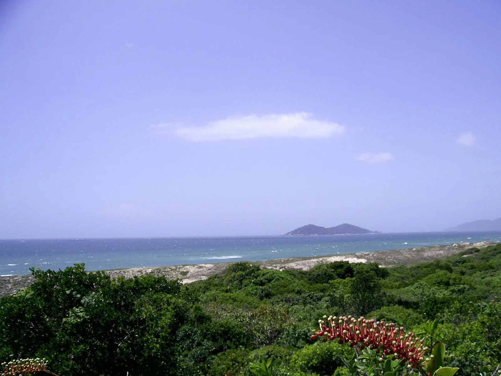 Qual praia escolher em Floripa com vento sul ou vento norte?