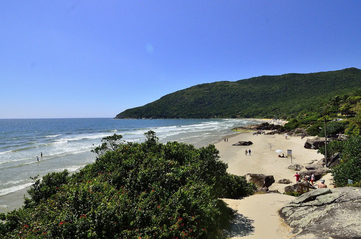 Praia do Matadeiro com vegetação junto à areia.