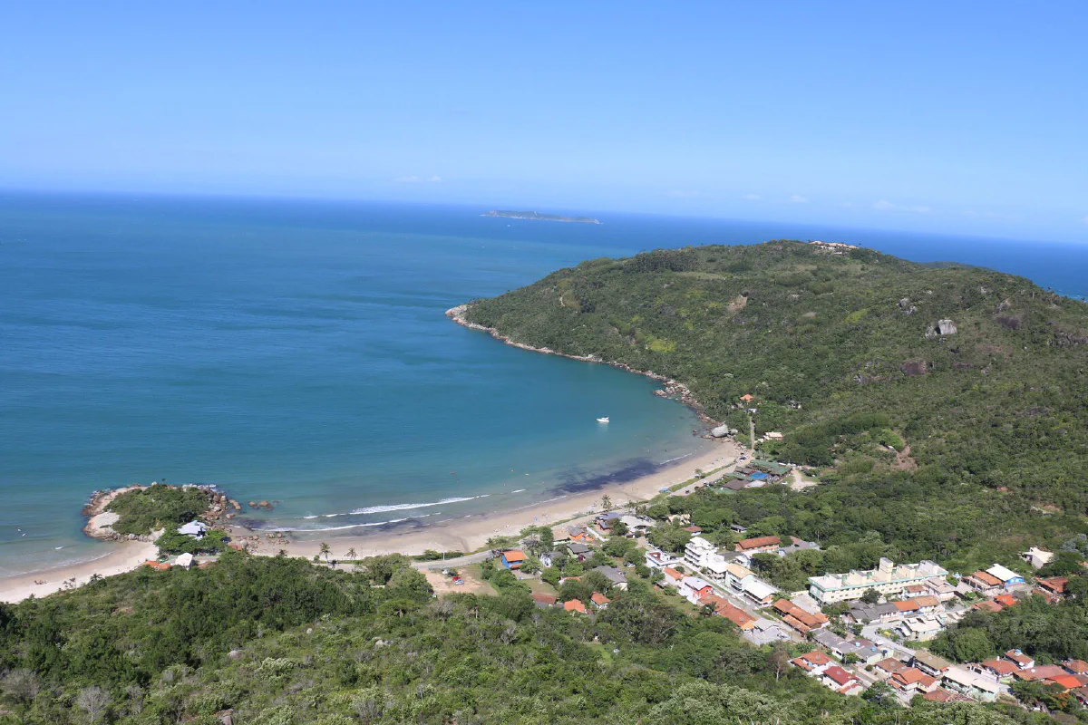 Vista do alto do Morro do Macaco, com uma praia em curva, o morro coberto de mata e o mar aberto ao fundo.