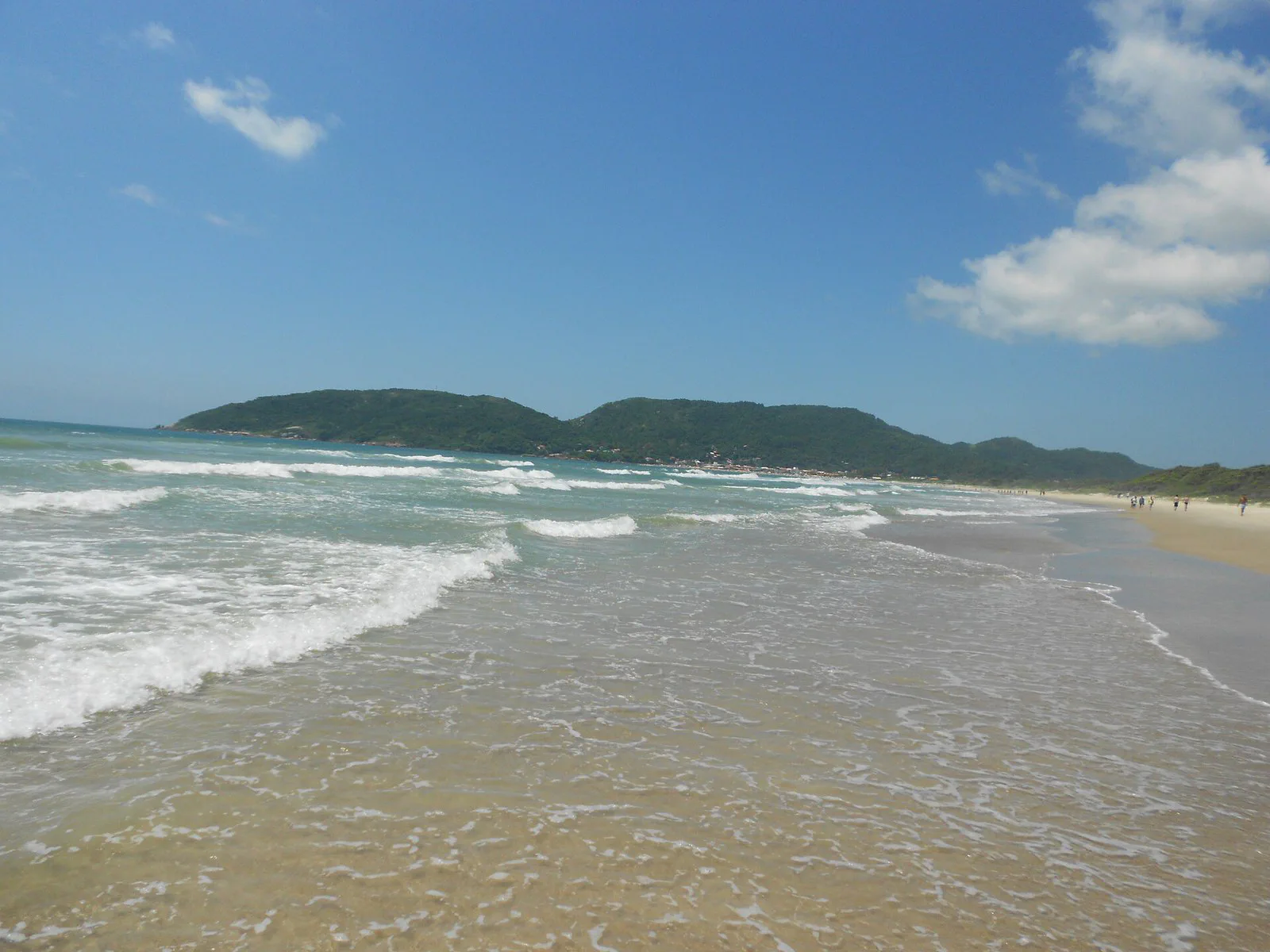 Secuencia de camarones en Florianópolis: dónde pedir y qué preguntar antes