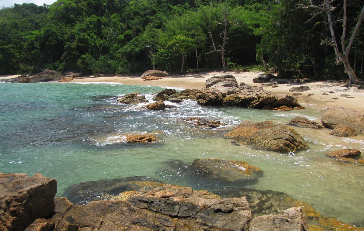 Praia do Cedro com pedras na beira da água e mata atrás da praia.