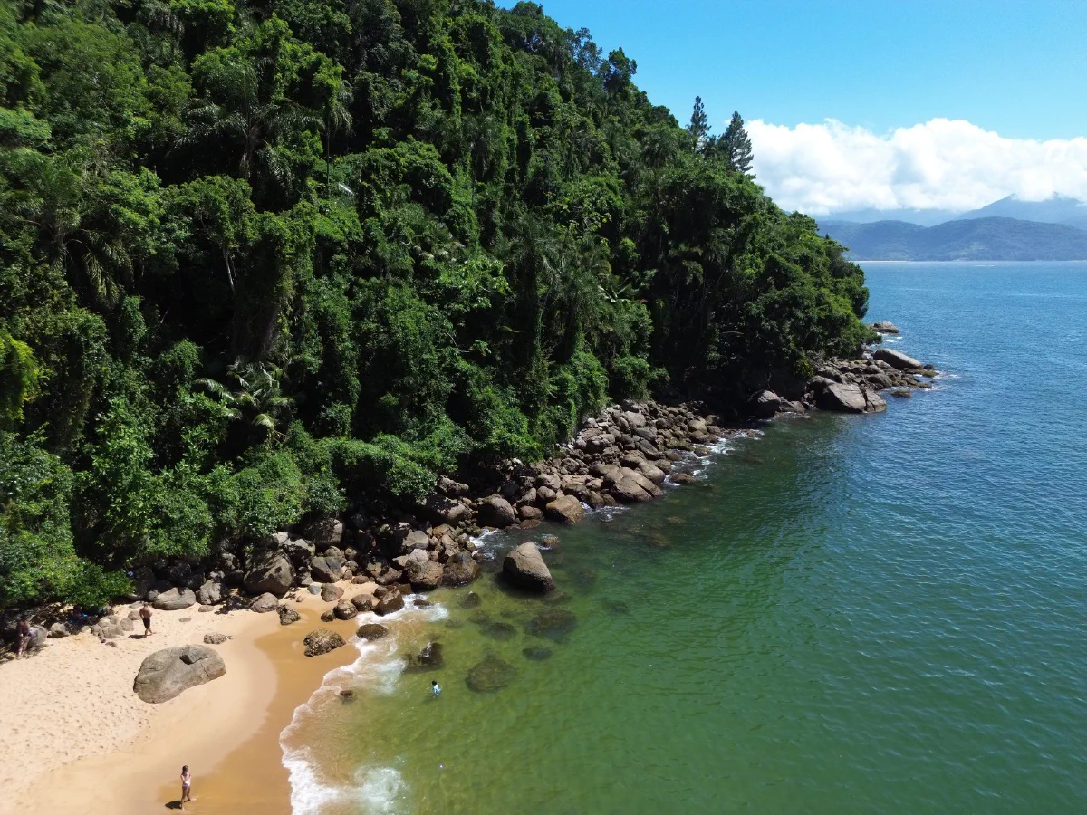 Vista aérea de costão coberto de mata atlântica e praia de areia no litoral de Ubatuba (SP)