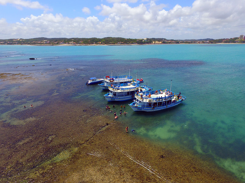 Parrachos de Maracajaú em Natal no Rio Grande do Norte