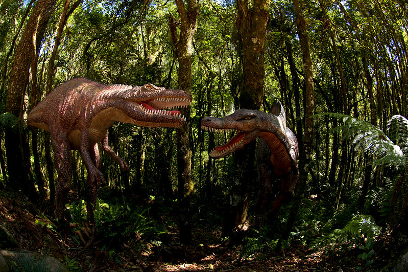 Parque Terra Mágica Florybal em Canela no Rio Grande do Sul 