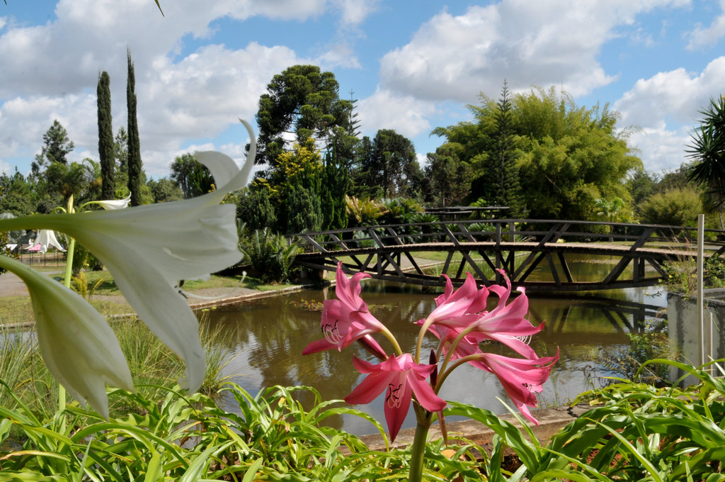 Jardim Botânico de Brasília no Distrito Federal 