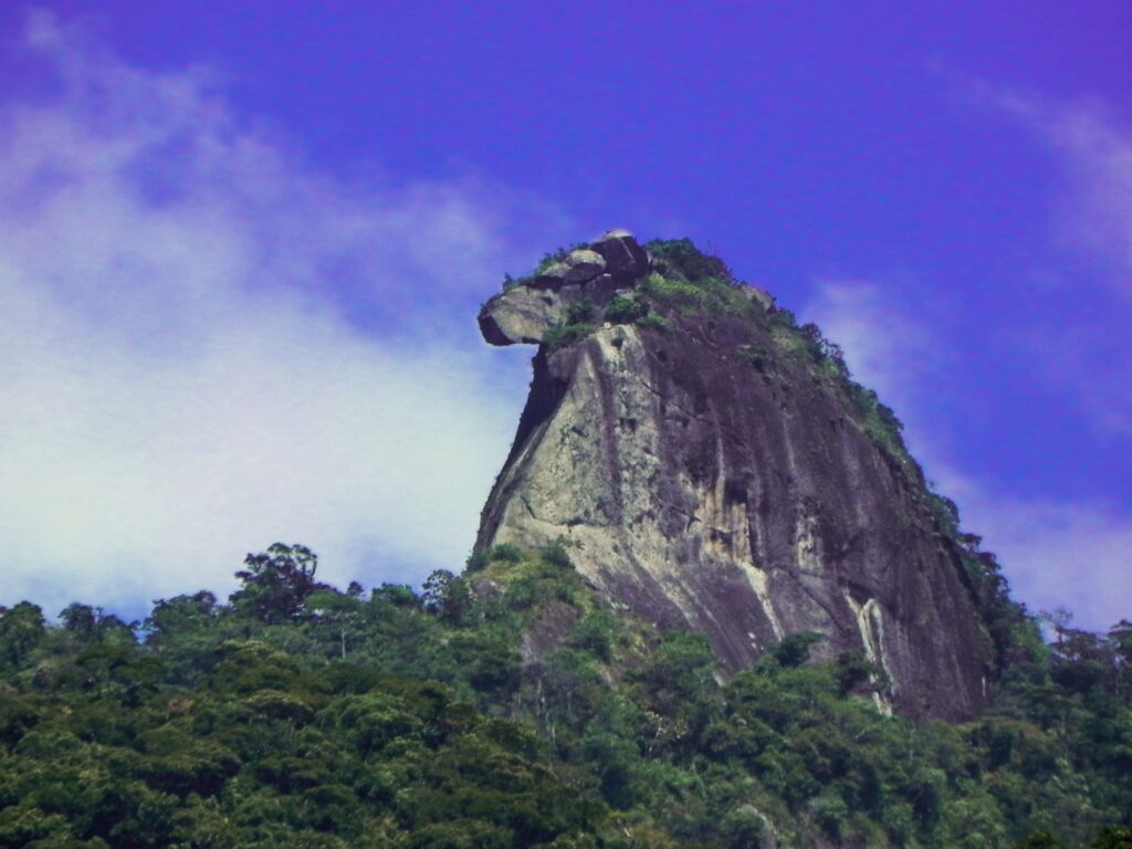Pico do Papagaio em Angra dos Reis no Rio de Janeiro