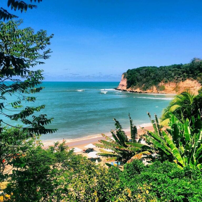 vegetação, mar azul e falácias da Praia do Madeiro em 
Pipa e Tibau do Sul no Rio Grande do Norte 