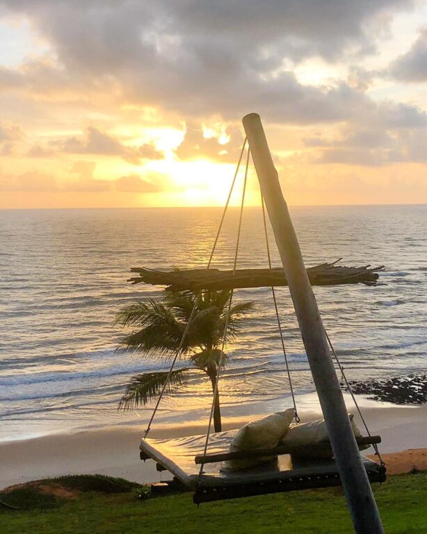 pôr do sol contrastando com o mar e uma palmeira em frente na Praia Tibaú do Sul em 
Pipa e Tibau do Sul no Rio Grande do Norte 