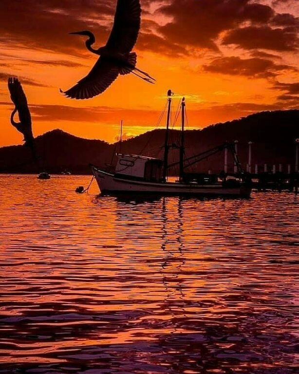 Barco sob a água com gaivotas voando no pôr do sol na Praia da Enseada em Bertioga em São Paulo