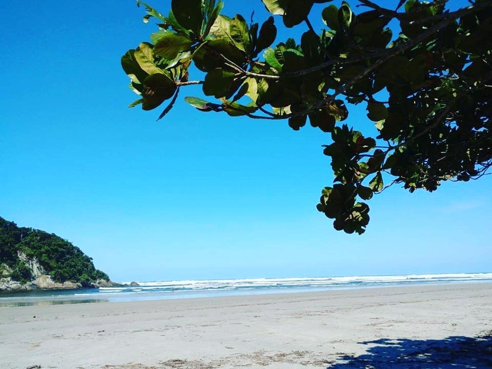 mar e areia com vegetação do lado esquerdo na Praia de Guaratuba em Bertioga em São Paulo