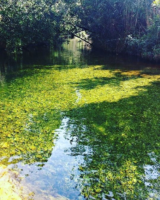 Trilha do Sol em Capitólio em Minas Gerais 